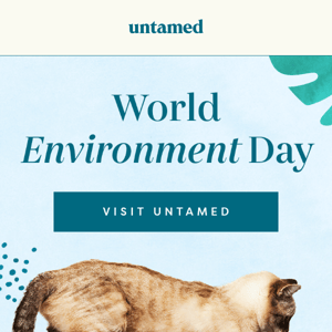 This is how Untamed commits to the environment…