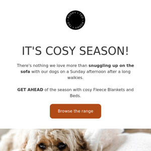 ✨🐶 IT'S COSY SEASON.. Fri-YAY faves! See what everyone's been loving this week..