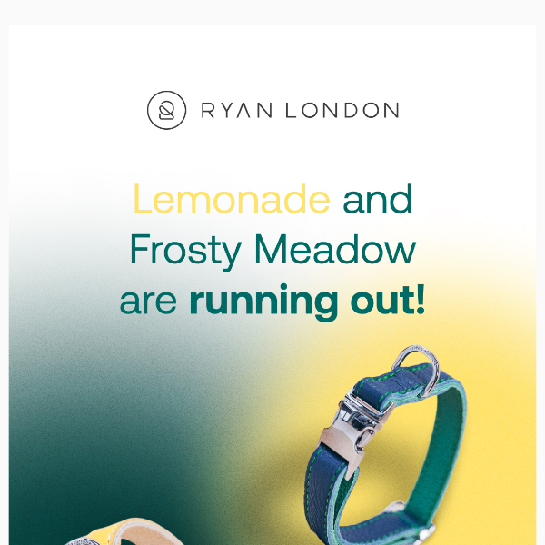 Get the Last “Lemonade” and “Frosty Meadow” Dog Products with 30% discount!