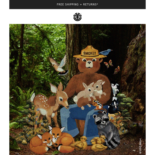 This collection celebrates the future of kids and our forests
