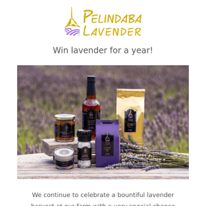 You could win lavender for a year!