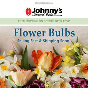 While Supplies Last - Flower Bulbs Shipping Soon!