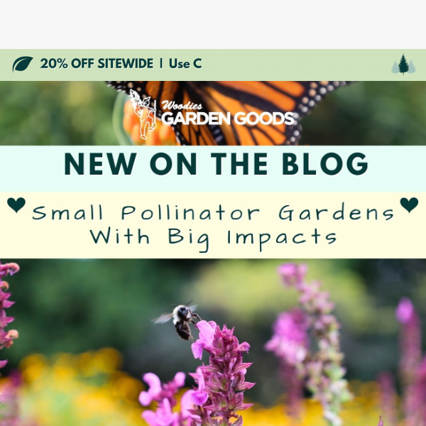 Small Pollinator Gardens With Big Impacts🐝🦋💚