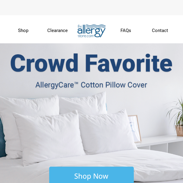 ⭐Allergy-Free Product Spotlight