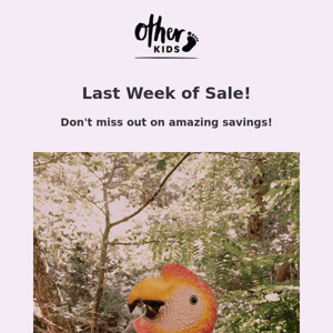 Last Week of Sale!