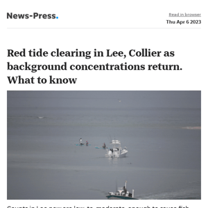 News alert: Red tide clearing in Lee, Collier as background concentrations return. What to know