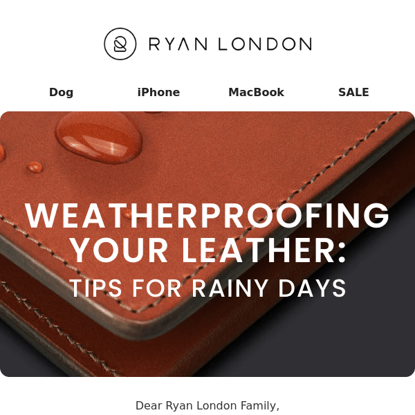 Protecting Your Precious Leather: Rainy Day Survival Guide