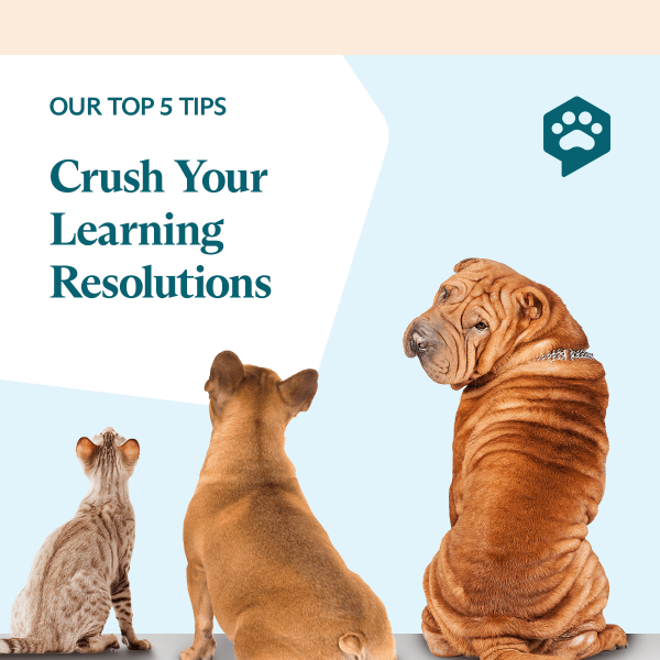 Top 5 Tips For Your Learning Resolutions