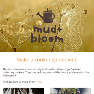 🕸🎃 Make conker spider webs for Halloween!