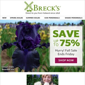 Save BIG on BLOOMS—up to 75%