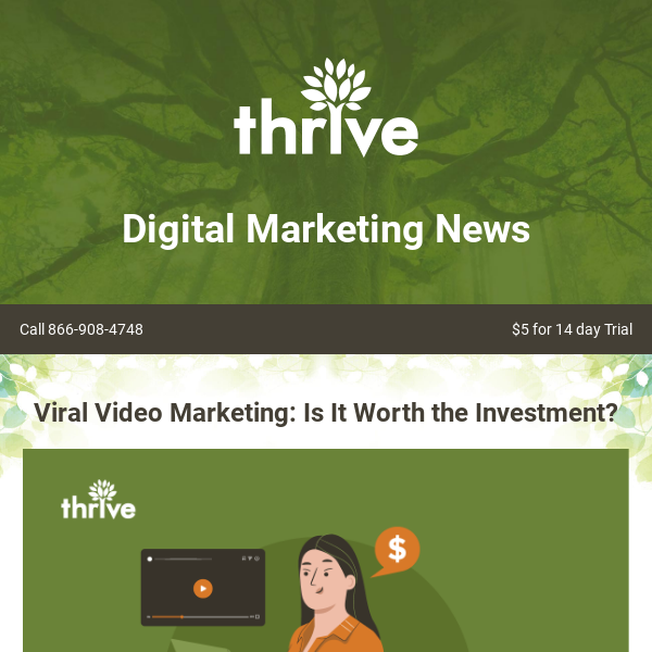 Viral Video Marketing: Is It Worth the Investment?