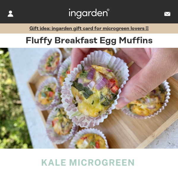 Recipe of the Week: Breakfast Egg Muffings 🍳