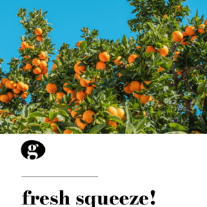 Sweet & Tangy: Celebrate Citrus Season