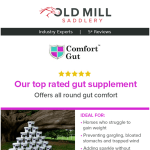 Gut Health: Our Top Rated Supplement 🐴