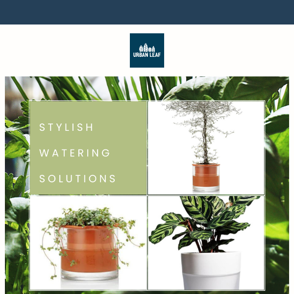 😀🌿Happy Plants Need STYLISH Self-Watering Pots🌿😀
