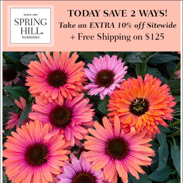 Soak up the EXTRA savings on sun-loving plants!