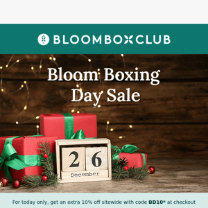 Boxing Day Sale | One Day Only!