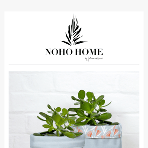 🌷  Gifts for Mom | NEW Lokelani Fabric Planters + Candle Gift Boxes! 🌷