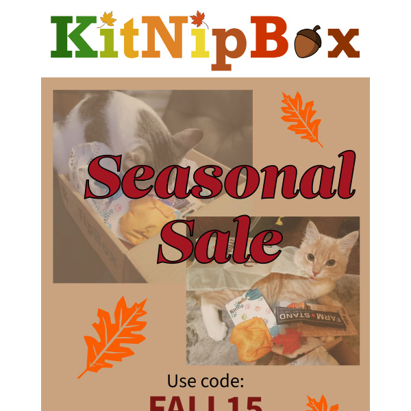 KitNipBox is a Kitty Cornucopia this Fall! 🍁🐈