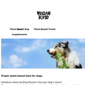 Proper plant-based food for dogs.