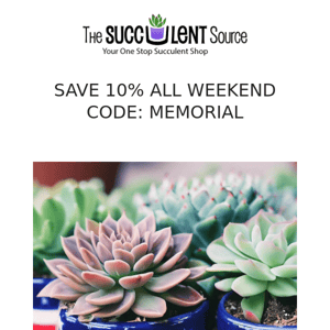 Succulent Savings for your 🌞 Memorial Staycation