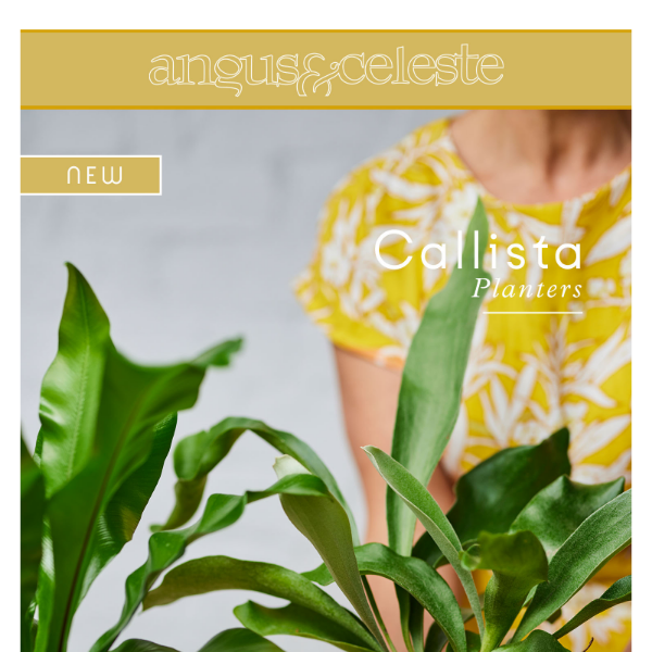 NEW ✧ Welcome to the Callista Planter ✧