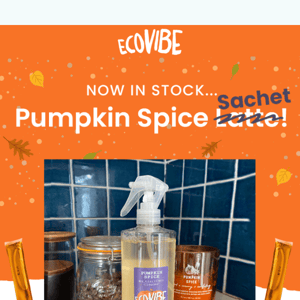 Pumpkin Spice is Here! 🧡