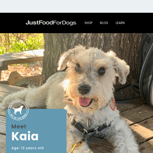 Welcome Spring with Our Pet of the Week, Kaia 🐶 🌱