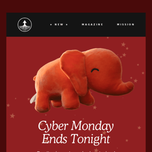 Cyber Monday is Ending ⚠️