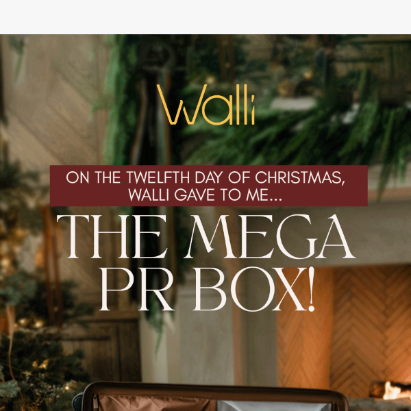 🎁 On the Twelfth Day of Christmas, Walli Gave to Me…