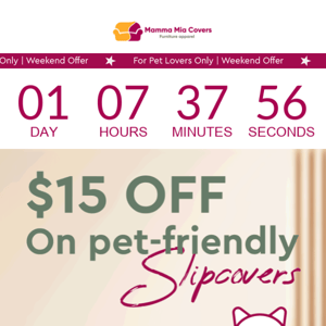 Just for Pet Lovers! $15 OFF on Slipcovers! 🐶