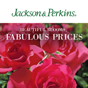Build Your Perfect Rose Garden at Prices That'll Make You Smile!