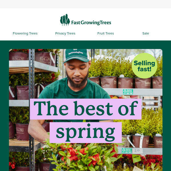 Grow our #1 plants this spring