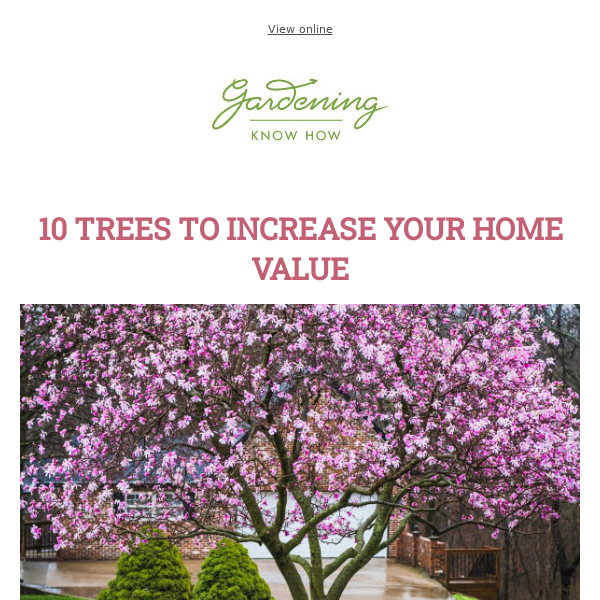 10 Trees That Add Value To Your Home + How To Remove Grass For A Garden + Simple Slug Trap