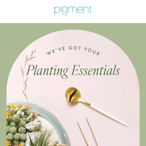Planting Essentials 🪴