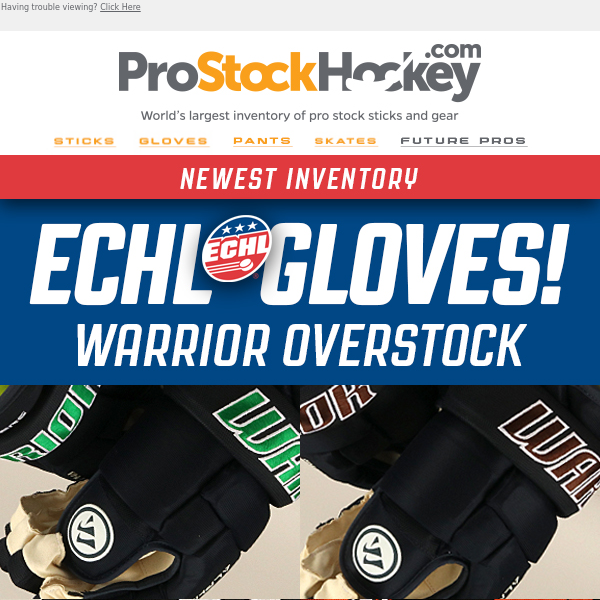New Gloves – ECHL Warrior Pro Overstock!