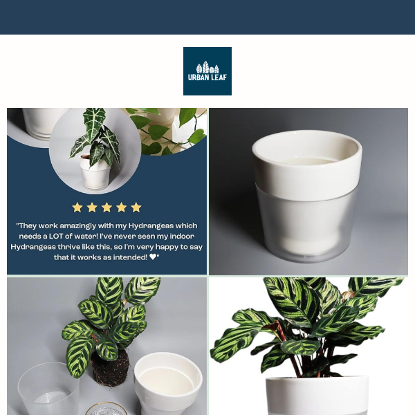 💧🌿NEW Try Our Smart Planter for Easy Indoor Plants🌿💧