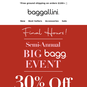 Final Hours 🔔 30% off EVERYTHING Big Bagg Sale