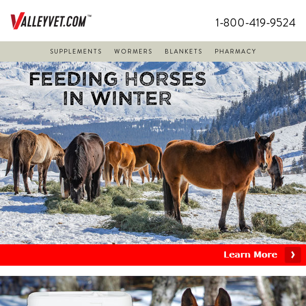 Level up your horse care this winter