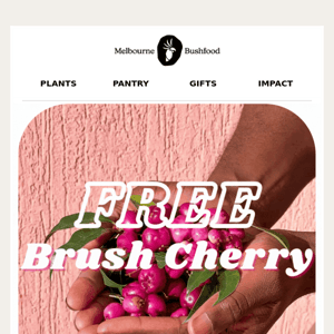 A Free Native Fruit Plant In This Email 🍒