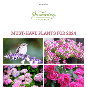 Must-Have Plants For 2024 + What To Do With Old Potting Soil