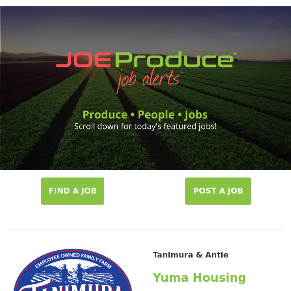 Don't Miss Out On These Brand New Produce Jobs With Tanimura & Antle, GoFresh Produce, Charlie's Produce, South Mill Champs, Prima Wawona & Honeybear Marketing