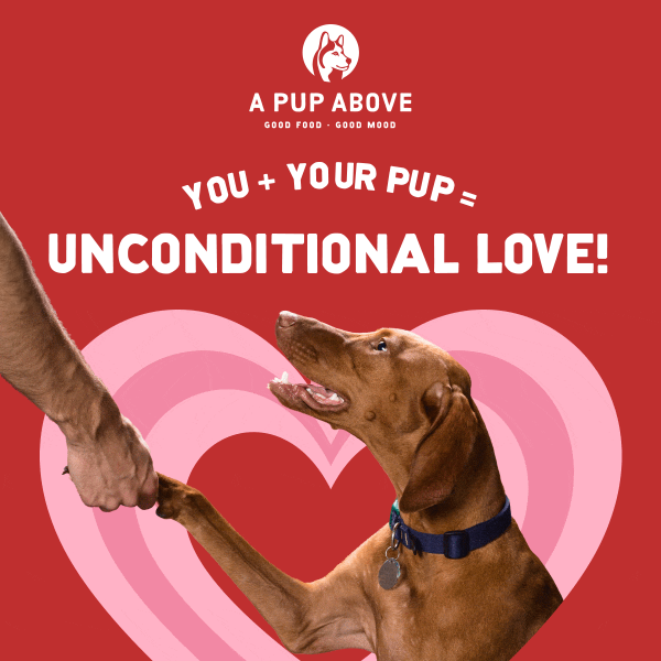 You + your pup = ?
