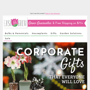 It's Time To Order Corporate Gifts!  🎁🎄