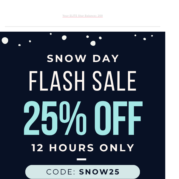 Snow Day: The 12 hour flash sale starts now ❄️⏰