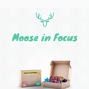 Join Our Moose IG Sale and Learn How to Participate ✨