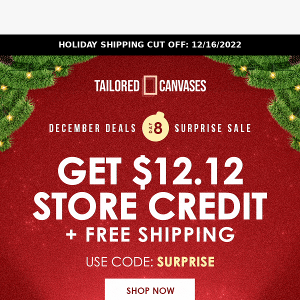 ❄️Your Holiday Store Credit is HERE!❄️
