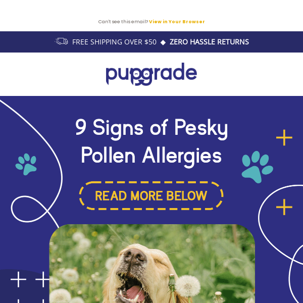 🌼Spring Allergies Got Your Pup Down? Here’s How to Tell…