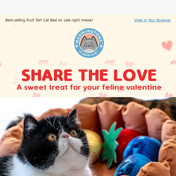 The Cutest Gift For Your Feline Valentine 💝