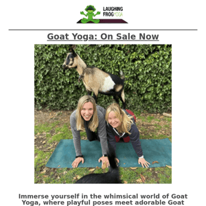 Experience Goat And Puppy Yoga!🐐🐶